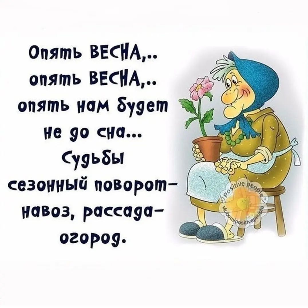 potapenko108 в LOOKY. . null