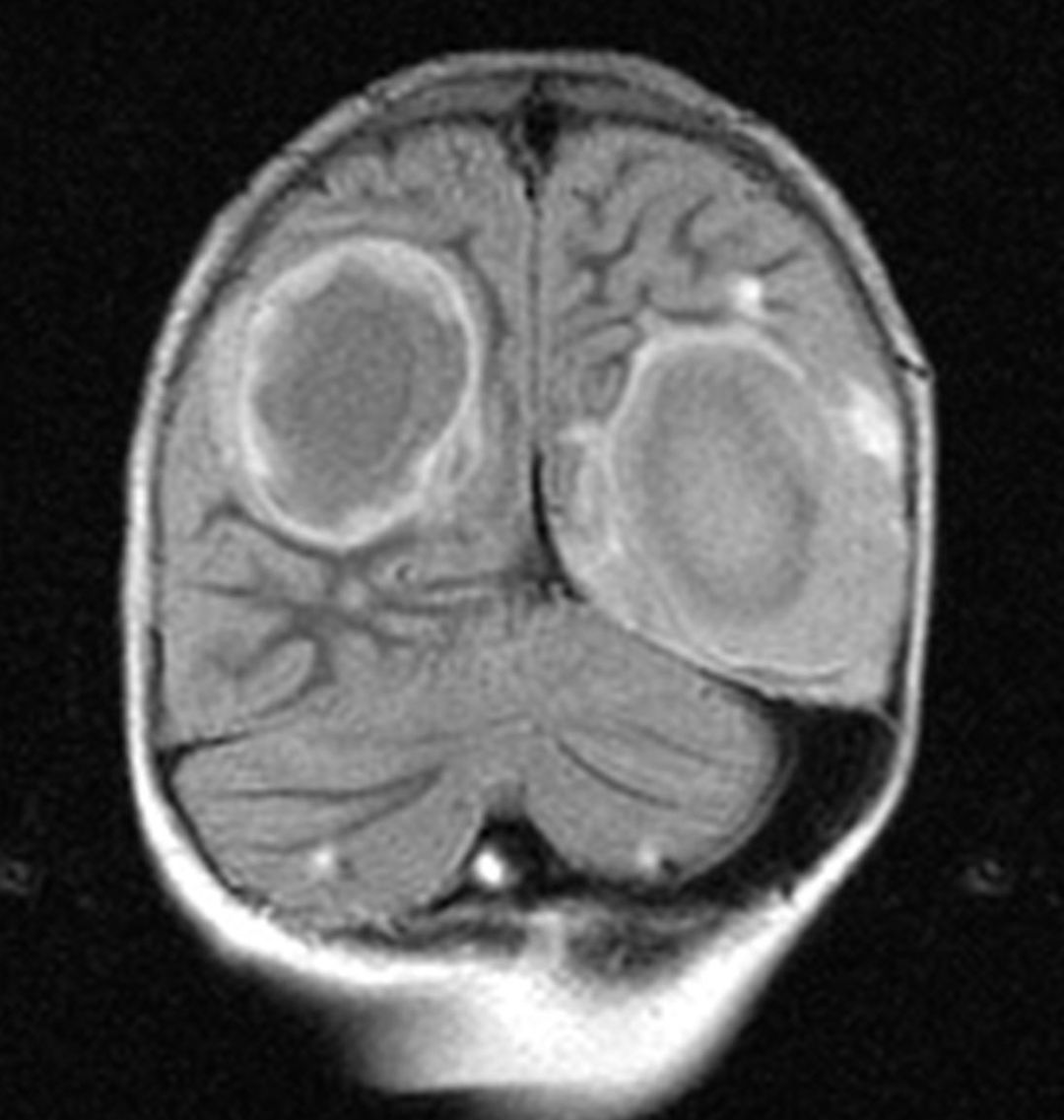 russianradiology в LOOKY — фото 4