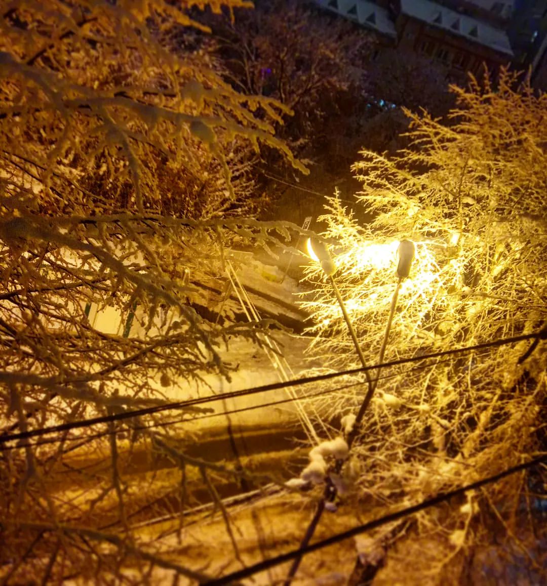Зимние виды с окошка )
#winter #night #window #tree #road