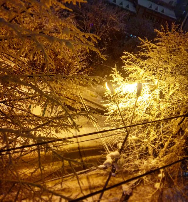 art_soyka_ в LOOKY. #winter,#night,#window,#tree,#road. Зимние виды с окошка...