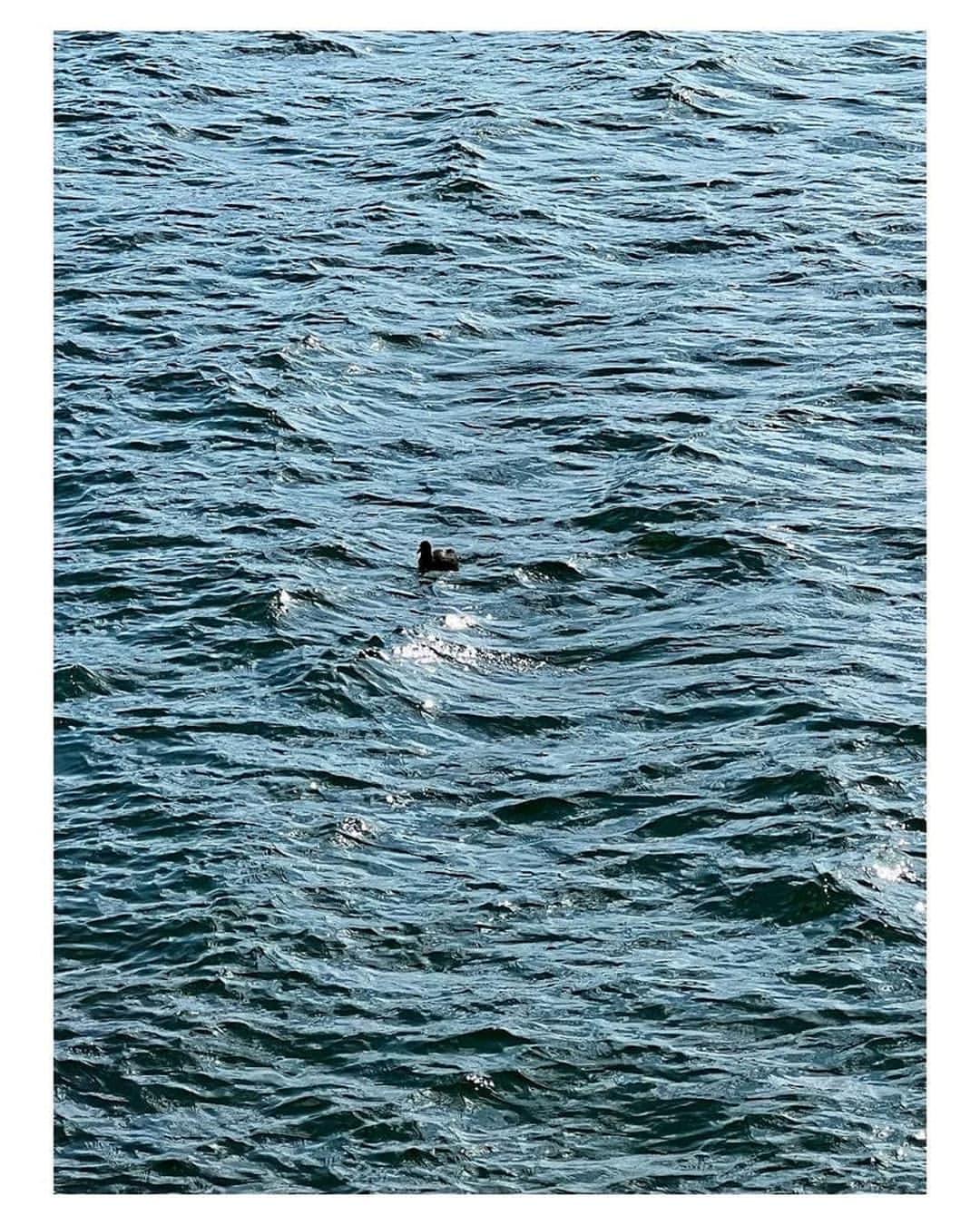 _life_goes_on_with_bts_ в LOOKY — фото 6