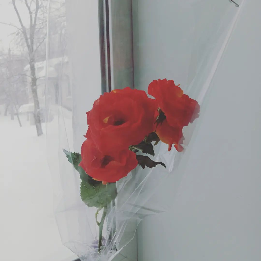 toma_poetess в LOOKY. . Праздник весны на ра...