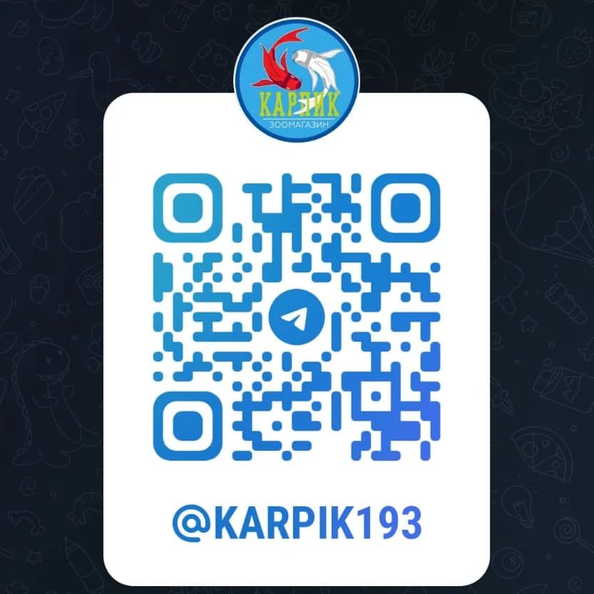 karpik193 в LOOKY — В связи с нестабильной обстановкой, было принято решение соз