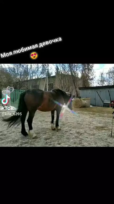 your_giri в LOOKY. . Кирюша❤️❤️❤️❤️❤️