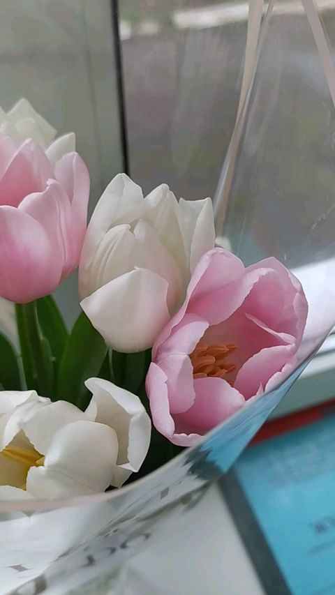 nikolenko8481 в LOOKY. . Весна в душе.....