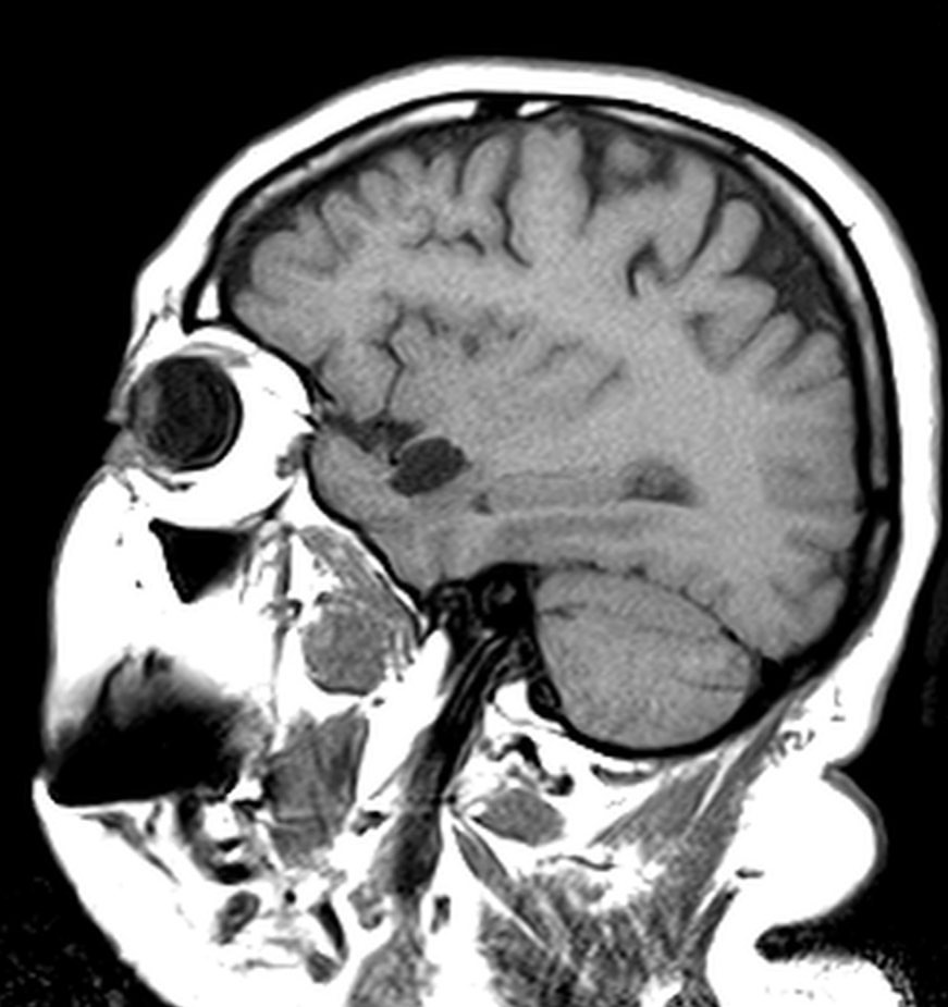 russianradiology в LOOKY — фото 4