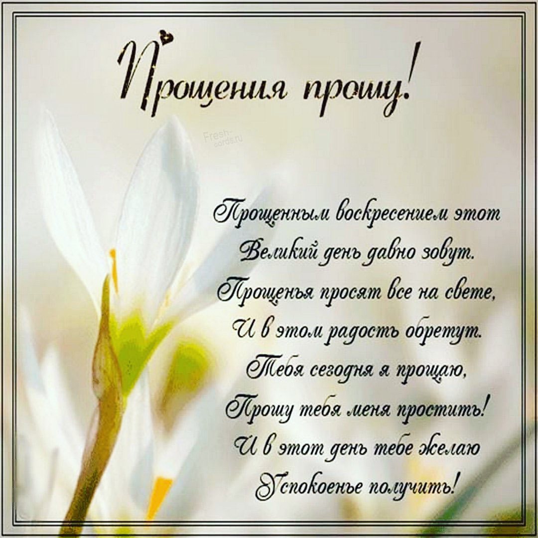IziTop в LOOKY — публикация