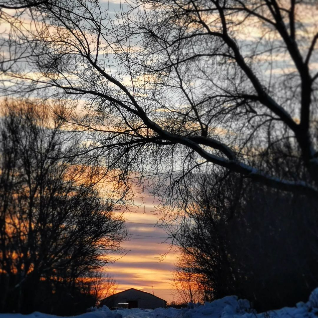 🌤️❄️✨