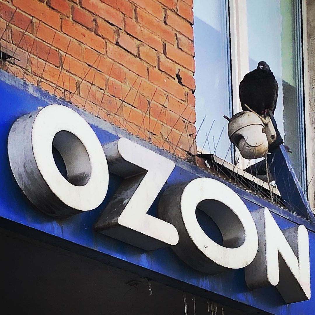 Птичка победила OZON, а я нет. Целый день ждал обещанный заказ, но так и не дождался. Надеюсь на завтра, а то будет поздно.