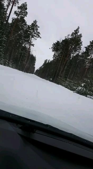 kisa240397 в LOOKY. . С каждым новым шагом...