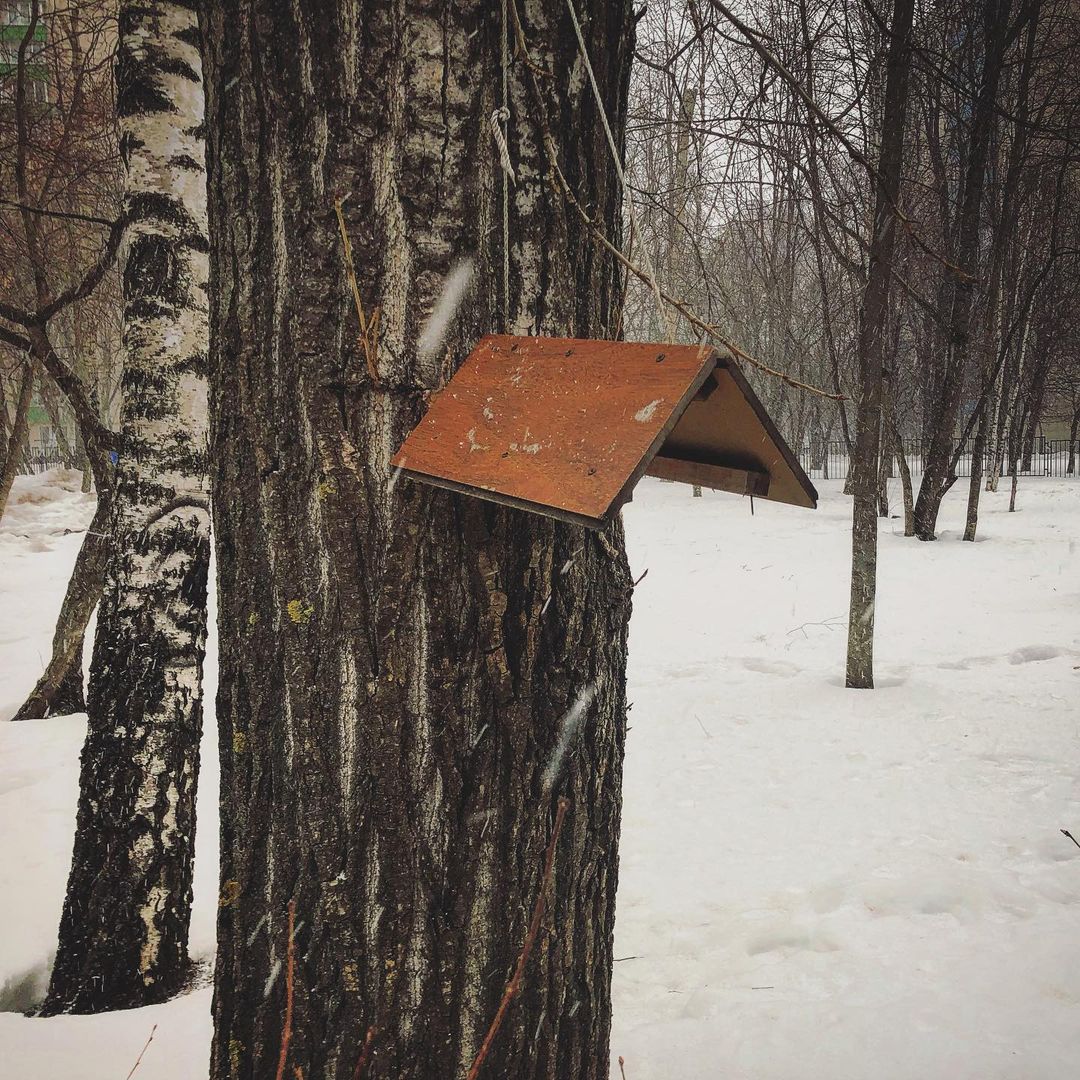 Кажется ваша птичка зажралась.