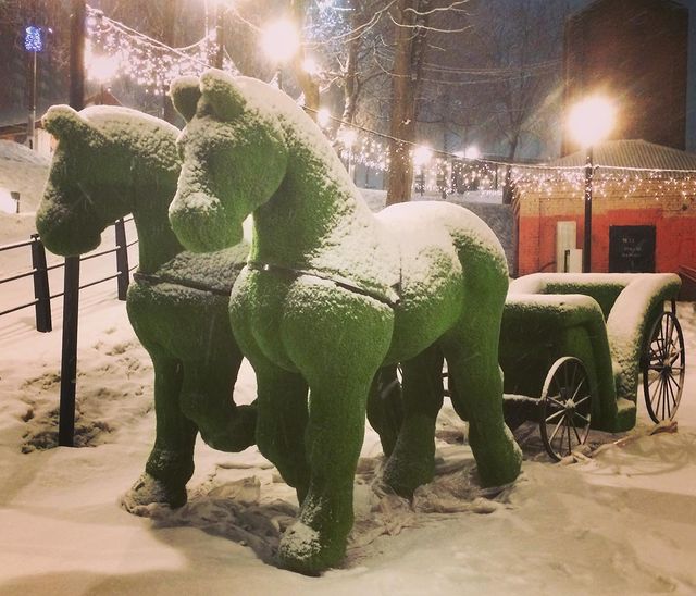 ceaseafire в LOOKY. #horse#night#winter#power#strong. #horse#night#winter#...