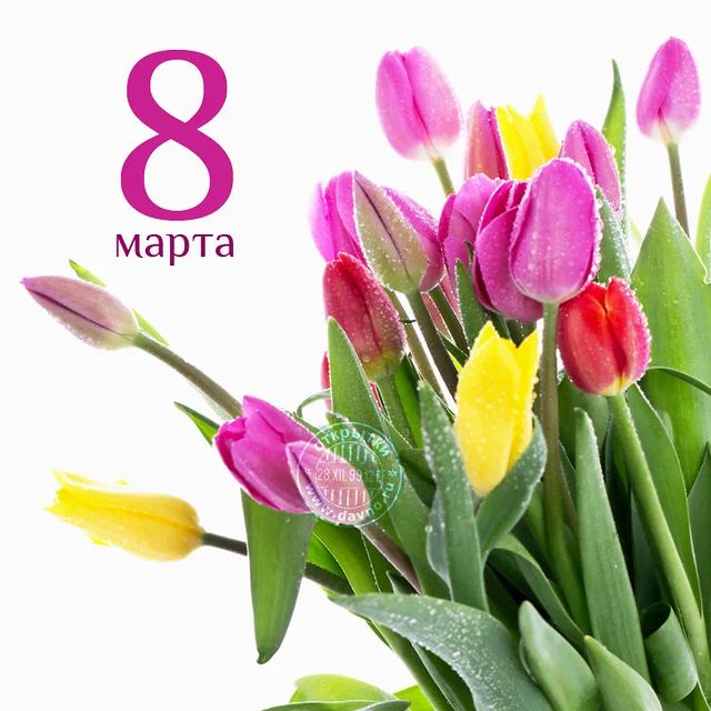 elena.ezhova.777 в LOOKY. . Среди весенних первы...