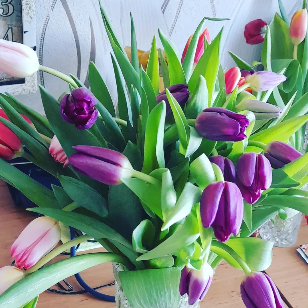aniutapustovaia в LOOKY. . 🥰🌺💞