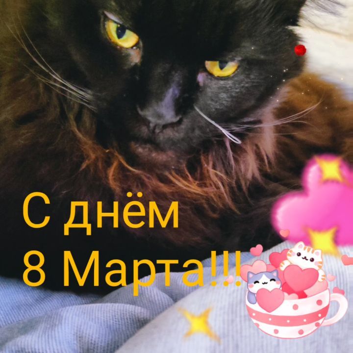 marinastsha в LOOKY. #mainecooncat,#mainecoon,#blackcatsofinstagram,#blackcat,#blackcatsclub,#котик,#кот,#котывинстаграме,#norvegianforestcat,#жизнькота,#catphoto,#catslover,#8марта,#обожаюживотных,#безкотаижизньнета,#cat_features,#cat_of_instagram,#кошачьяжизнь,#золотойфонддрузей,#catsloversworld,#catlife,#catphoto,#lifewithcats,#sellos,#gatos,#gatosfofos,#gatosfofo,#gatosnoinstagram. Милые наши, хорошие!...