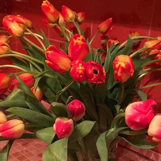 petrovblog в LOOKY. #праздник,#весенний,#8марта,#женщинам,#любви,#деревня,#вдеревне. Дорогие мои, женщины...
