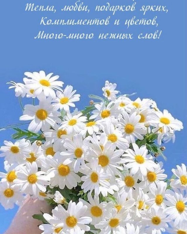 ____arkadiy___ в LOOKY. . null