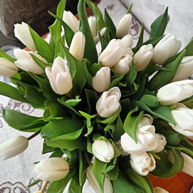 olesja_ropsa в LOOKY. #8марта💐. С #8марта💐 милые же...