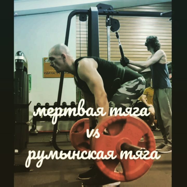 alex_belkov_gym в LOOKY — фото 1