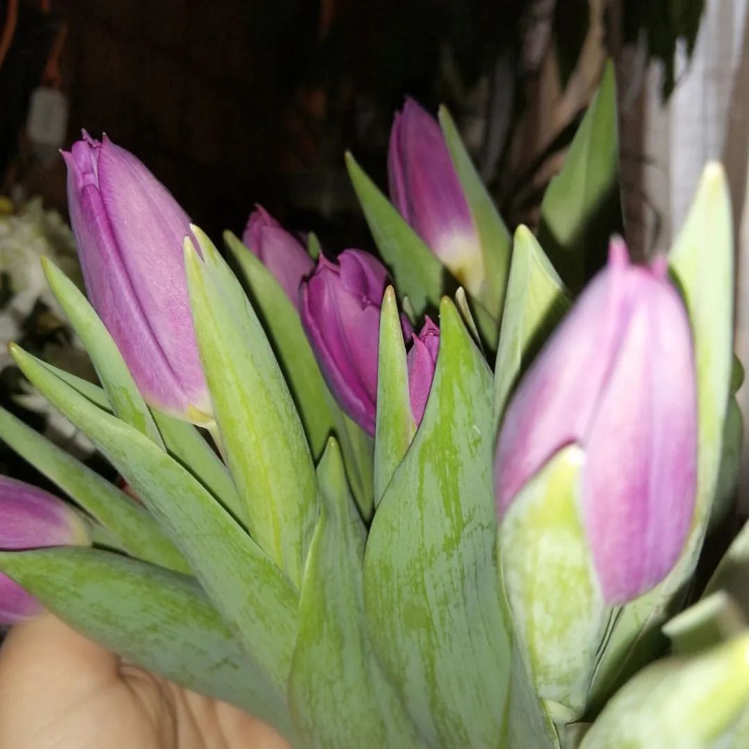 d__arya в LOOKY. . Милые девочки, девуш...