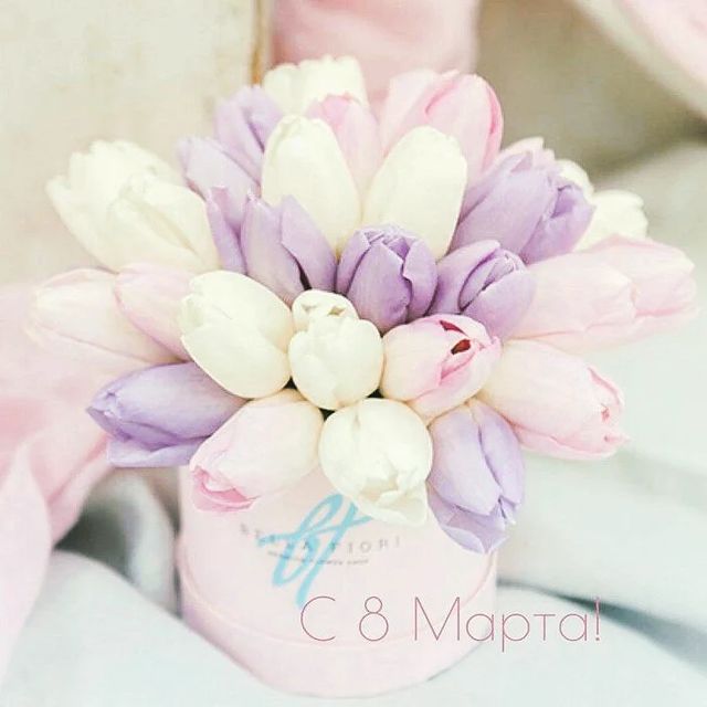 kann_rom в LOOKY. . null