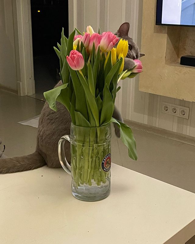 olesyateplova в LOOKY. . Девочки, с празднико...