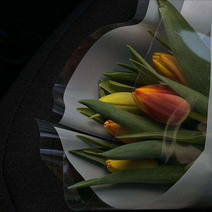 sv_et_lana17 в LOOKY. . Сегодня был прекрасн...