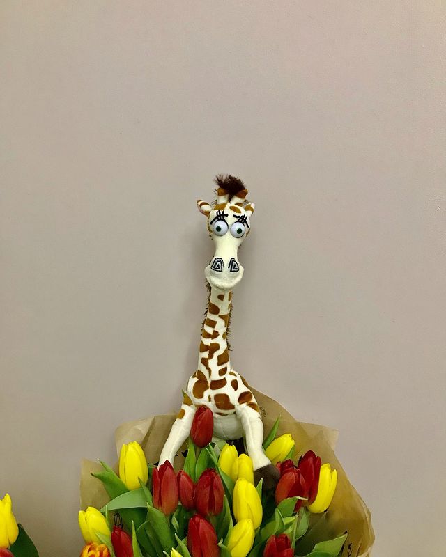 anton.i.vanov в LOOKY. #aivlifestyle. 🦒
#aivlifestyle