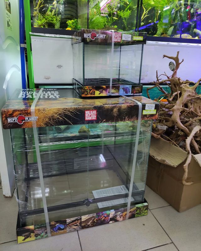 karpik193 в LOOKY. #karpik193,#террариум. Поступили террариумы...