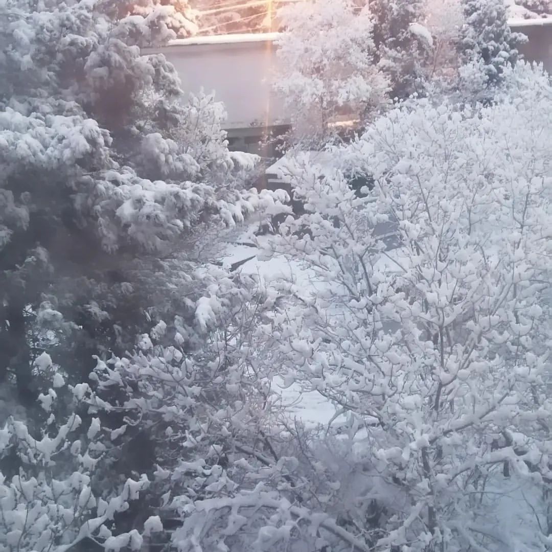 #весна