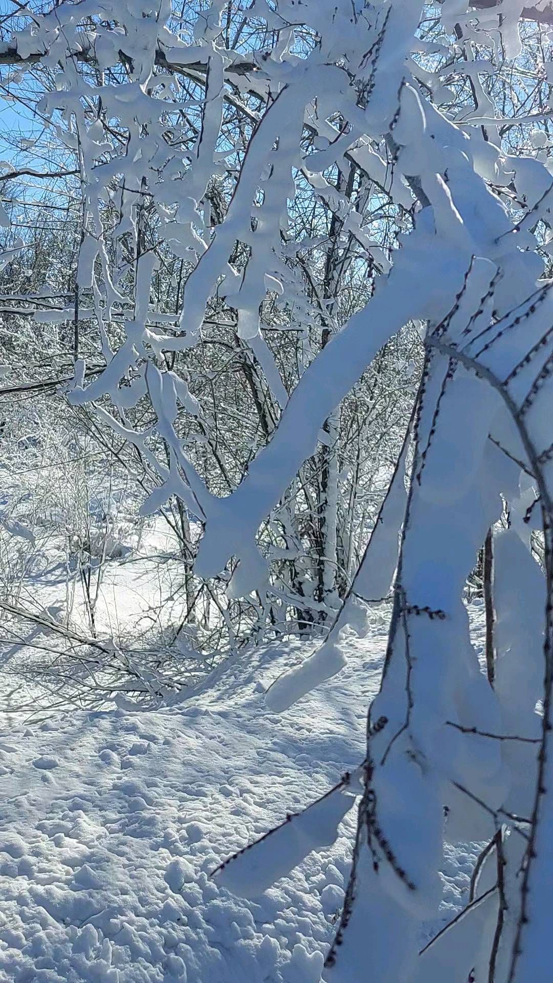 konnova8 в LOOKY. . null