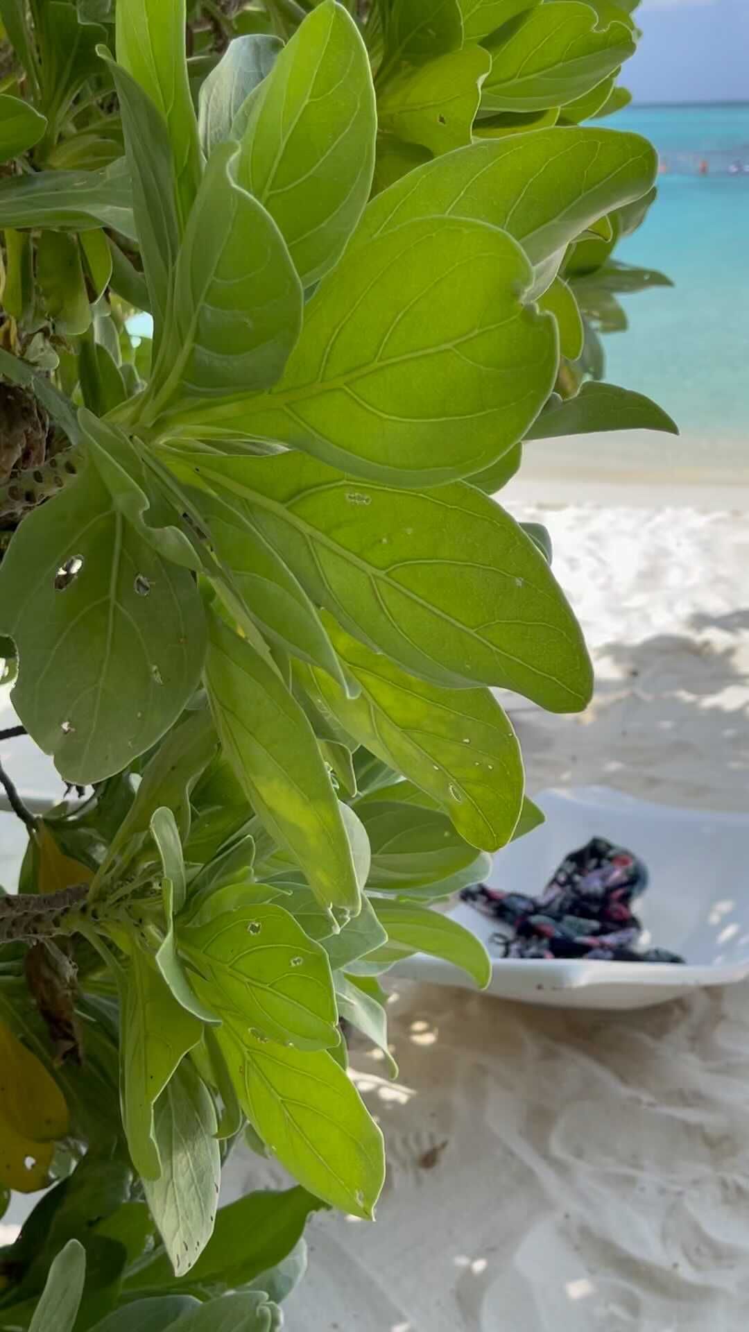 zarikoeva_alex in LOOKY. . Поплыли со мной 🏝😎...