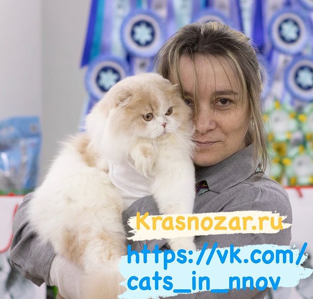 kate_krasnozar в LOOKY. . Друзья! Остаёмся на ...