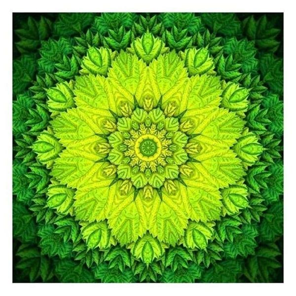 arturkashapov87 в LOOKY. . Ну что, видимо это п...