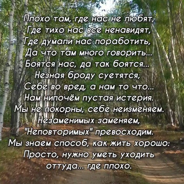 nataya74 в LOOKY. #мненестыдно,#v🇷🇺,#z🇷🇺,#мысвами,#своихнебросаем. Незаменимых заменяем...