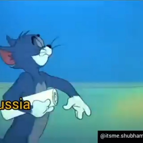 alenalazaricheva в LOOKY. . Это гениально!