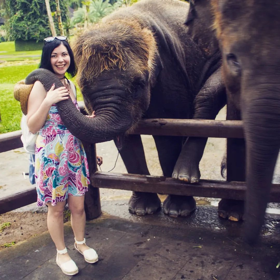 knopatut в LOOKY — Всё, я остановлюсь на слониках! 🐘
Слоны индийские сегодня у
