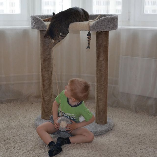 tasiro_workshop в LOOKY. #котики,#комплексыдлякотиков,#когтеточка,#когтеточкамосква,#детиикотики. Архивные фото из ВК ...