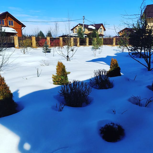 mariya_landshaft в LOOKY. . 🤦Переживаю ли, я чт...