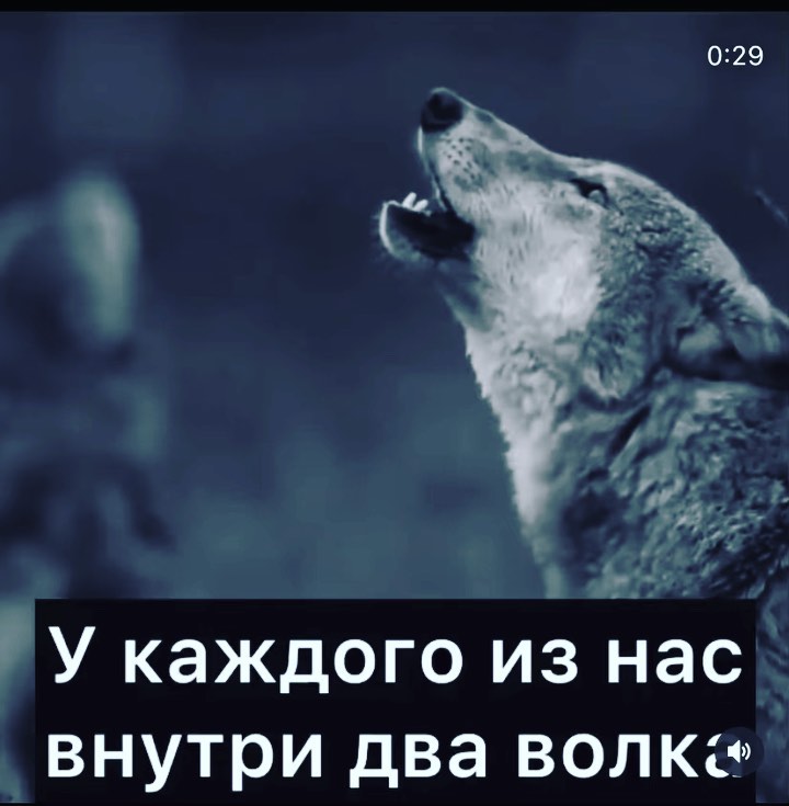 hellooobiches в LOOKY. . ☝🏻