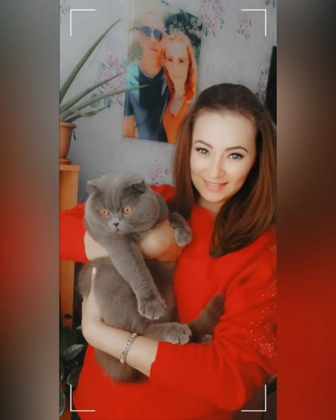 nastusha19.12 в LOOKY. #боняпотапыч🐱. Мой щекастый бублик~...