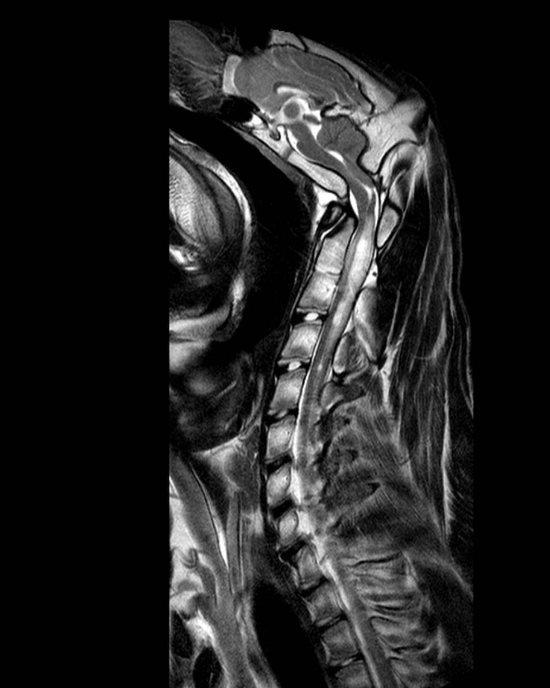 russianradiology в LOOKY — фото 2