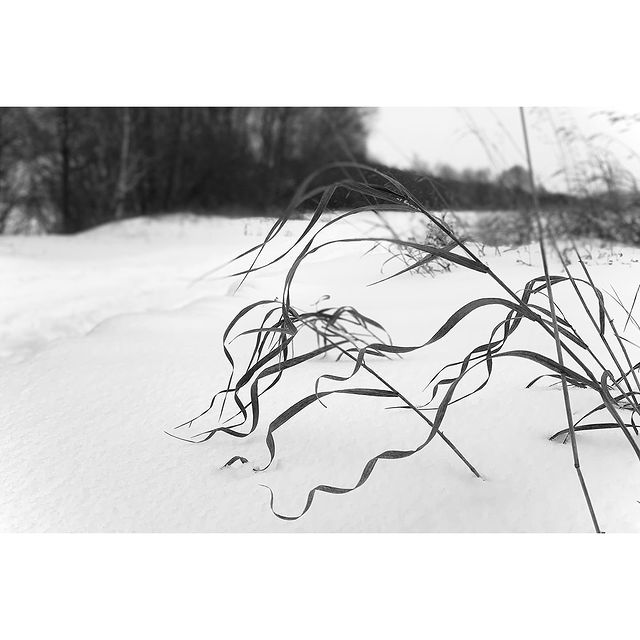 irina_timonina_photo в LOOKY. #круглый_год_2022. Продолжаю просто сни...
