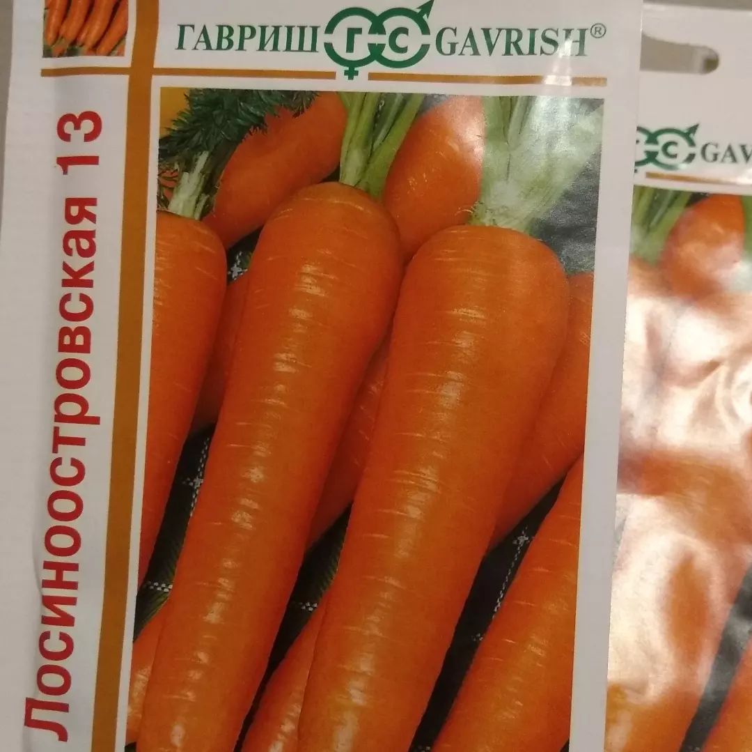 petrovblog в LOOKY. #деревня,#жизньвдеревне,#загородом,#наприроде,#природароссии,#своёхозяйство,#вогороде,#тепло#русскаяглубинка,#свойдом#россия#ленинградскаяобласть#фермер#зимавдеревне#прогулка#petrovblog#дачамечты#дачазимой#дачасад#деревнявроссии#деревнялайф#деревнязимой#деревняонлайн#деревнядомродной#деревнярулит. Это просто мистика к...