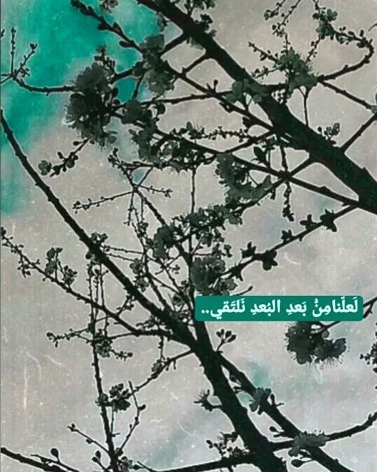 Mohammad Mustafa в LOOKY. . انتِ تعنين لي
رُبما ...