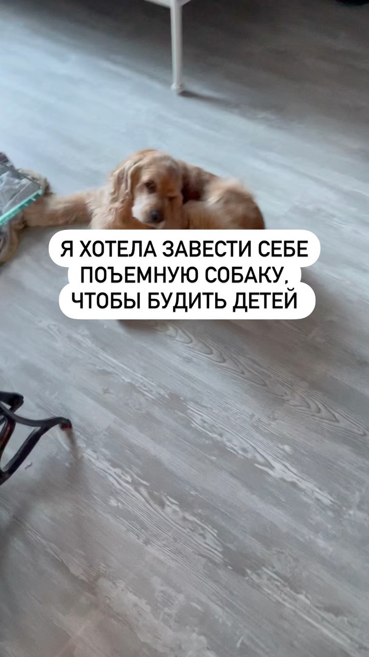 robusto_va в LOOKY. . - Боже, мне нужен по...