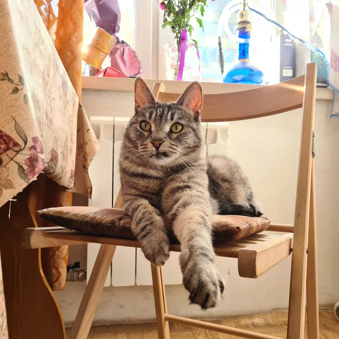 lady_morrygan в LOOKY — Фб превратилось в хтоническое болото, где мрак,  грязь и отч