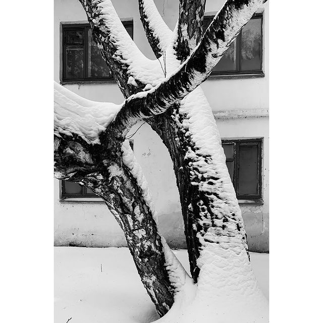 irina_timonina_photo в LOOKY. #круглый_год_2022,#bnwphotography,#bnw_planet,#newgolland,#newgollandisland,#mobilephotography,#artofmobile,#jj_mobilephotography,#ученики_photohappy,#круглый_год_2022,#shadowphotography,#photoplay_ru,#lefreakmedia,#maracujaphotographers,#spectaculummagazine,#ladderspoetry,#jj_forum_3712. #круглый_год_2022
.
...