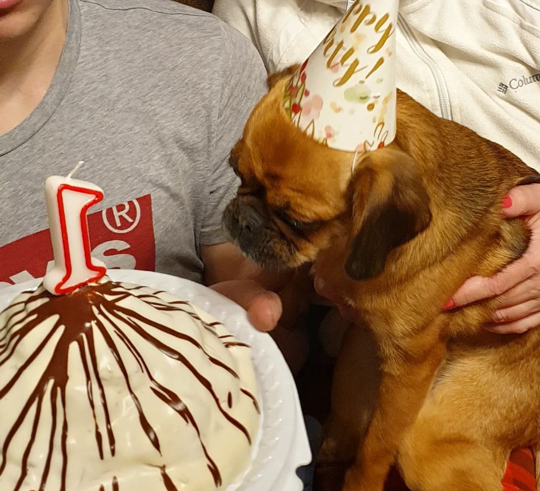 elena_chemy в LOOKY — фото 2
