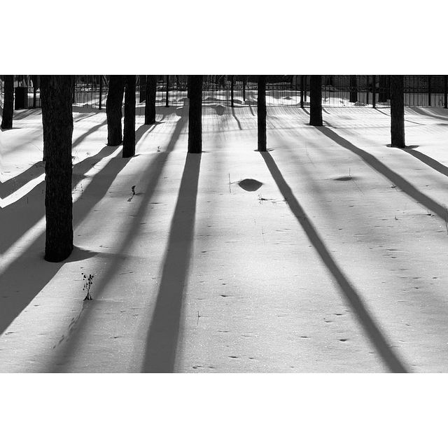irina_timonina_photo в LOOKY. #круглый_год_2022,#bnwphotography,#bnw_planet,#newgolland,#newgollandisland,#mobilephotography,#artofmobile,#jj_mobilephotography,#ученики_photohappy,#круглый_год_2022,#shadowphotography,#photoplay_ru,#lefreakmedia,#maracujaphotographers,#spectaculummagazine,#ladderspoetry,#jj_forum_3712. #круглый_год_2022
.
...